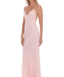 Lace V-Neck Mermaid Dress in Pink